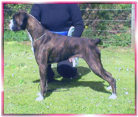 Stella in her youngster days