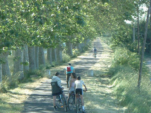 There are miles of cycle track along the canal du midi