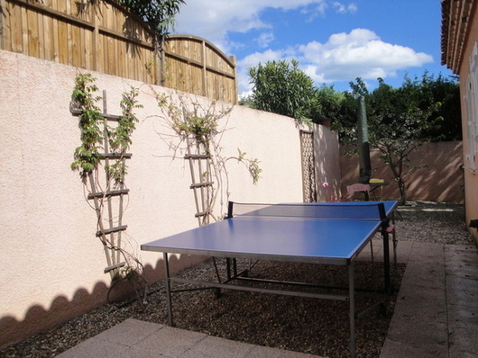 Table Tennis
