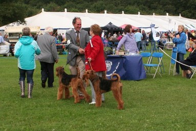 Collcurr Courageous receives Best of breed sept 2010