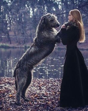 Wolfhound and Girl