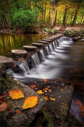 Stepping stones