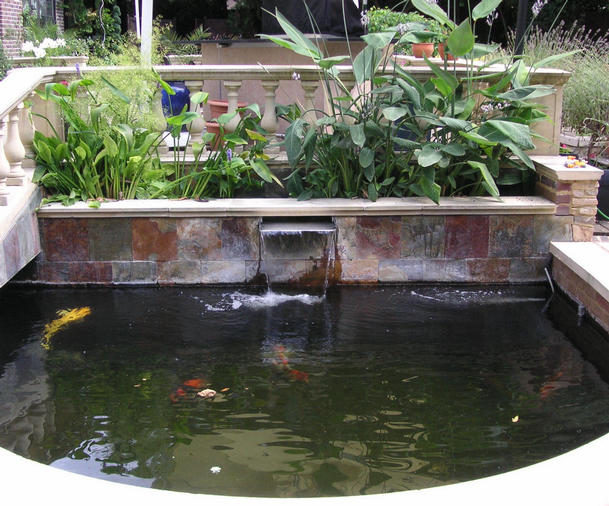 formal koi ponds picture to pin on pinterest thepinsta formal koi ponds picture to pin on pinterest thepinsta