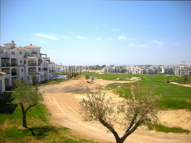 Fantastic golf view