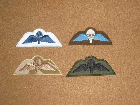 Para wings