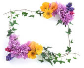 flowers frame