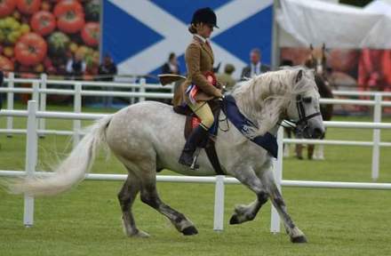 Strathleven Drumochter