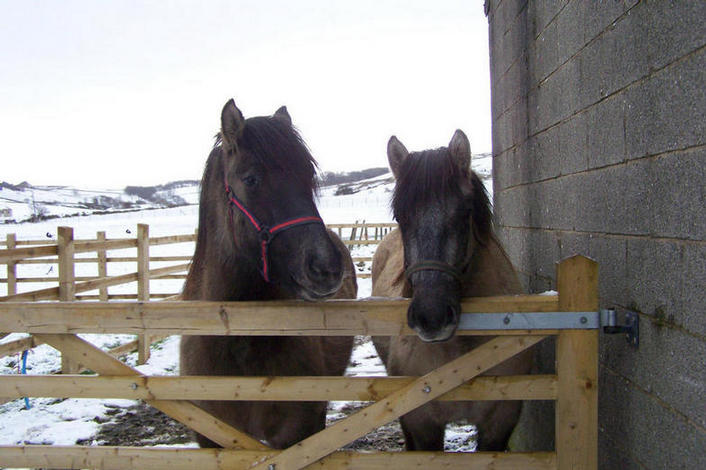 Kyla and Peggy Febuary 2008