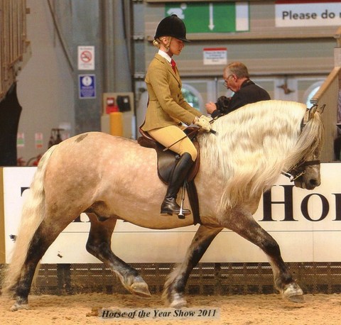 drumochter show pic