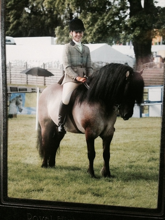 Valerock St George at the Highland show