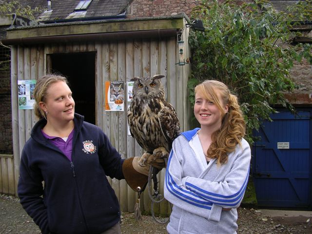 An Eagle Owl