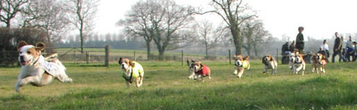 Drag hunting with the Beagle Club