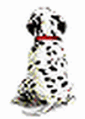 wagging puppy
