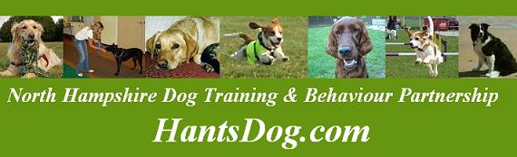 It's not just classes - ask us about one to one training, home visits or photographing your pet.