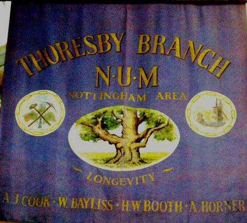 Thorseby banner