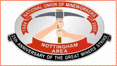 25th Anniversary badge