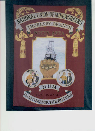 Thorsbey Banner
