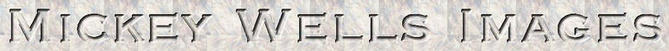 Mickey Wells' Logo