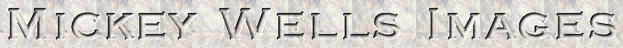 Mickey Wells' Logo
