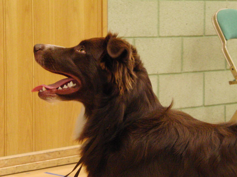 Ike 7 months