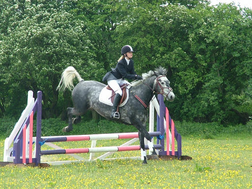 Sophie on Tippy