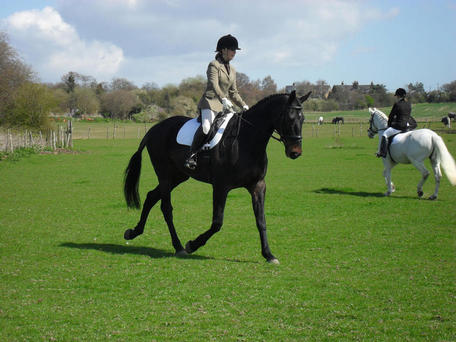 Laura on Frankie 11.4.2010