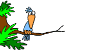 Animated cartoon birds.