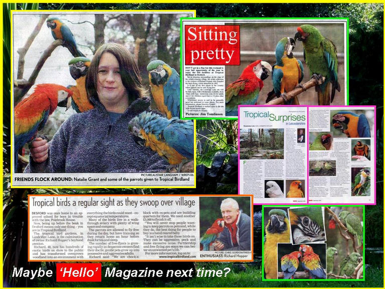 Newspaper cuttings.