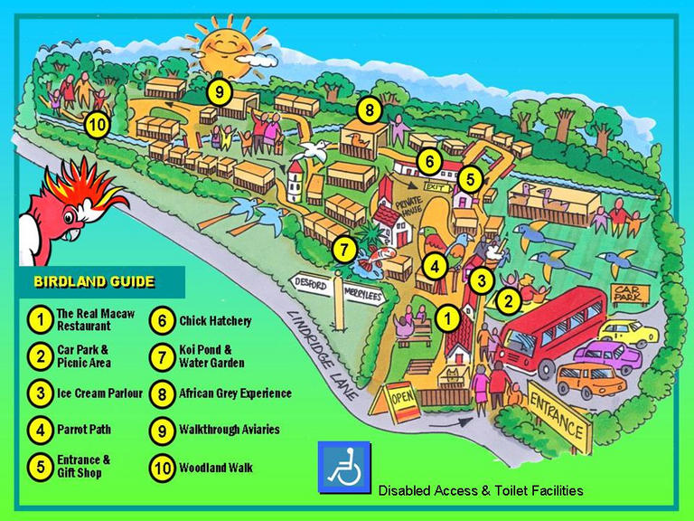 Cartoon 3D map of Birdgarden layout showing attractions.