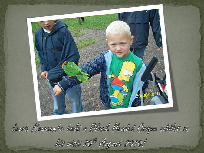 Visitors Photo