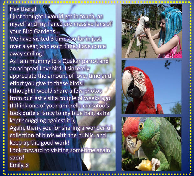 Photo Montage