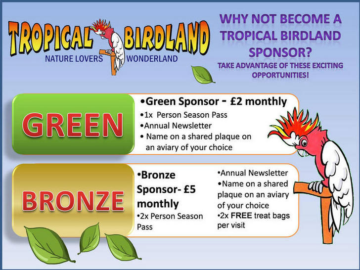 Sponsorship Scheme Poster