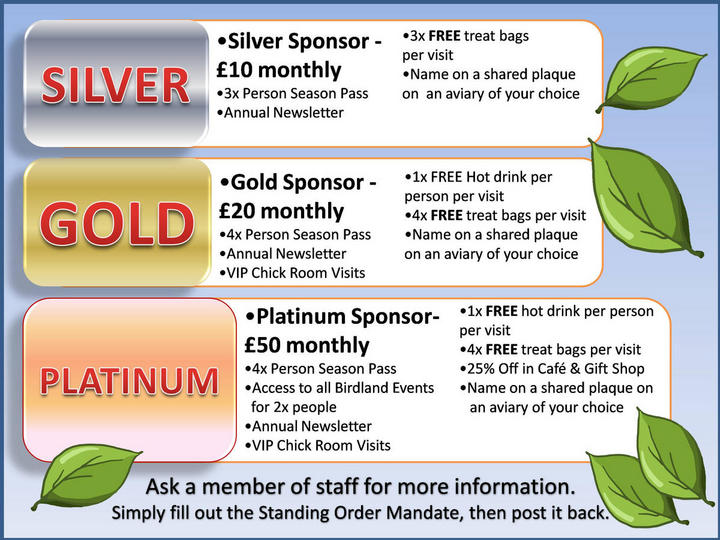 Sponsorship Scheme Poster