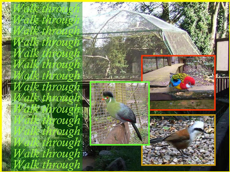Photo of Walk Through Aviaries and some of the birds inside.