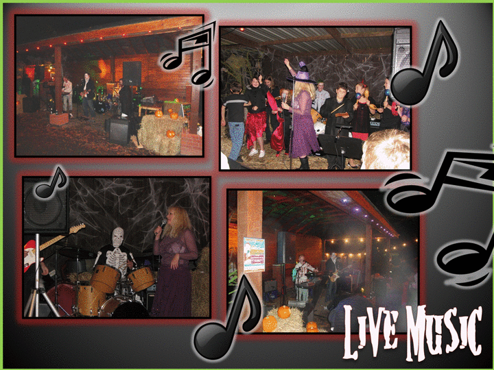 Live Music!
