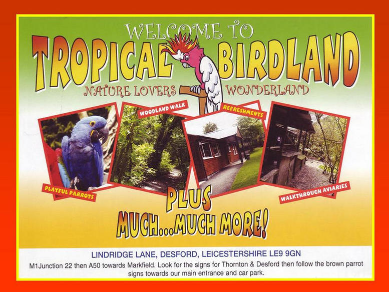 Picture of flyer.