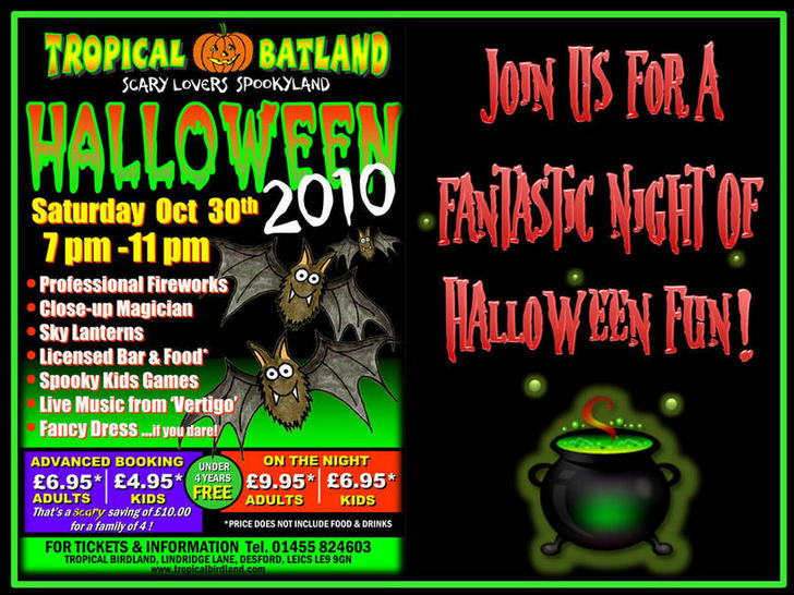 Halloween Fun!