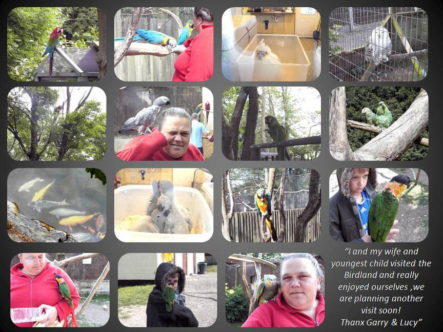 Photo Montage