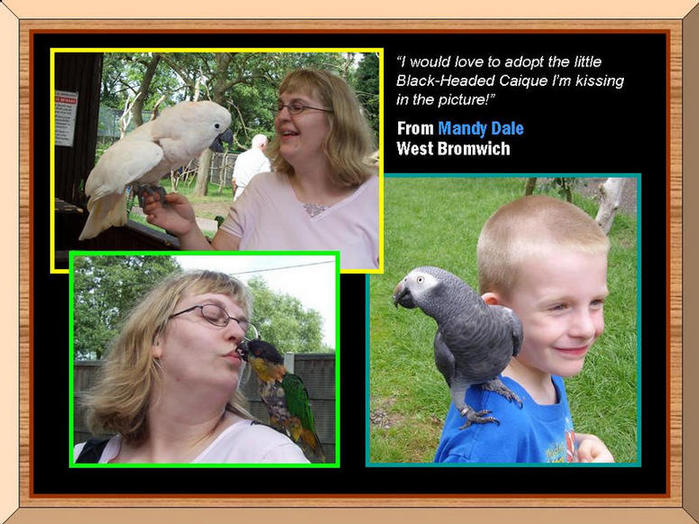 People with parrots