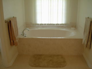 master bath tub