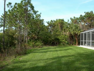 back garden