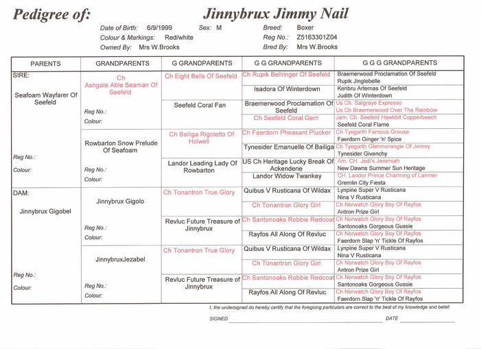 Jimmy Nail's pedigree