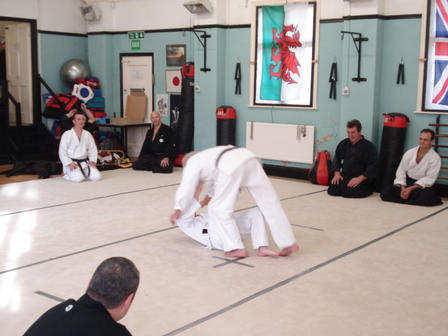 Judo throw, boy throws man.