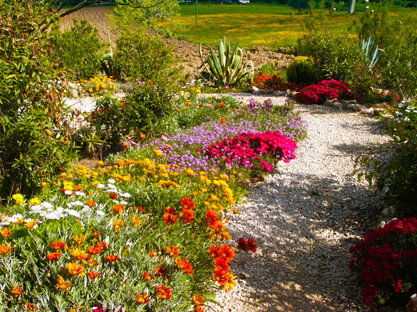 Spring garden