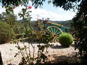 Horse drawn cart outside Adega Velha