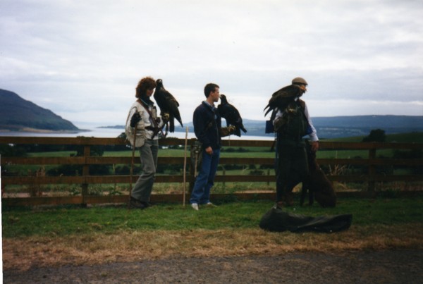 two goldens and a verreaux