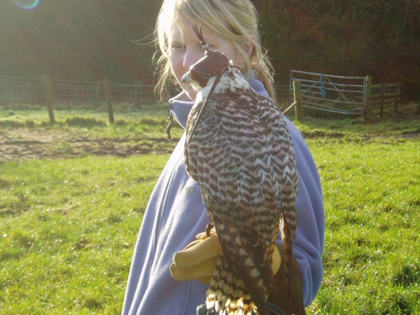 Eilidh with a Gyr-Saker Hydrid Falcon