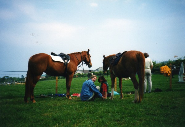 riding club show
