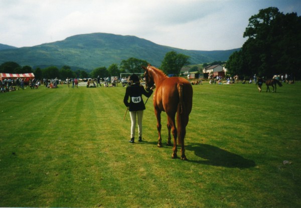 Arran Farmers Show