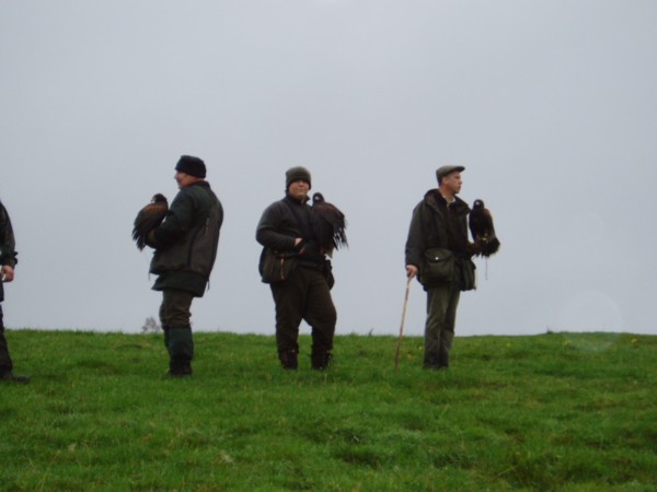 the  exitement of the hunt